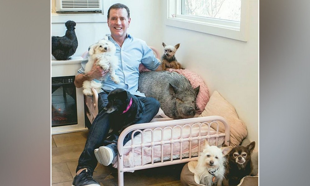 Steve Greig und seine Rasselbande. 