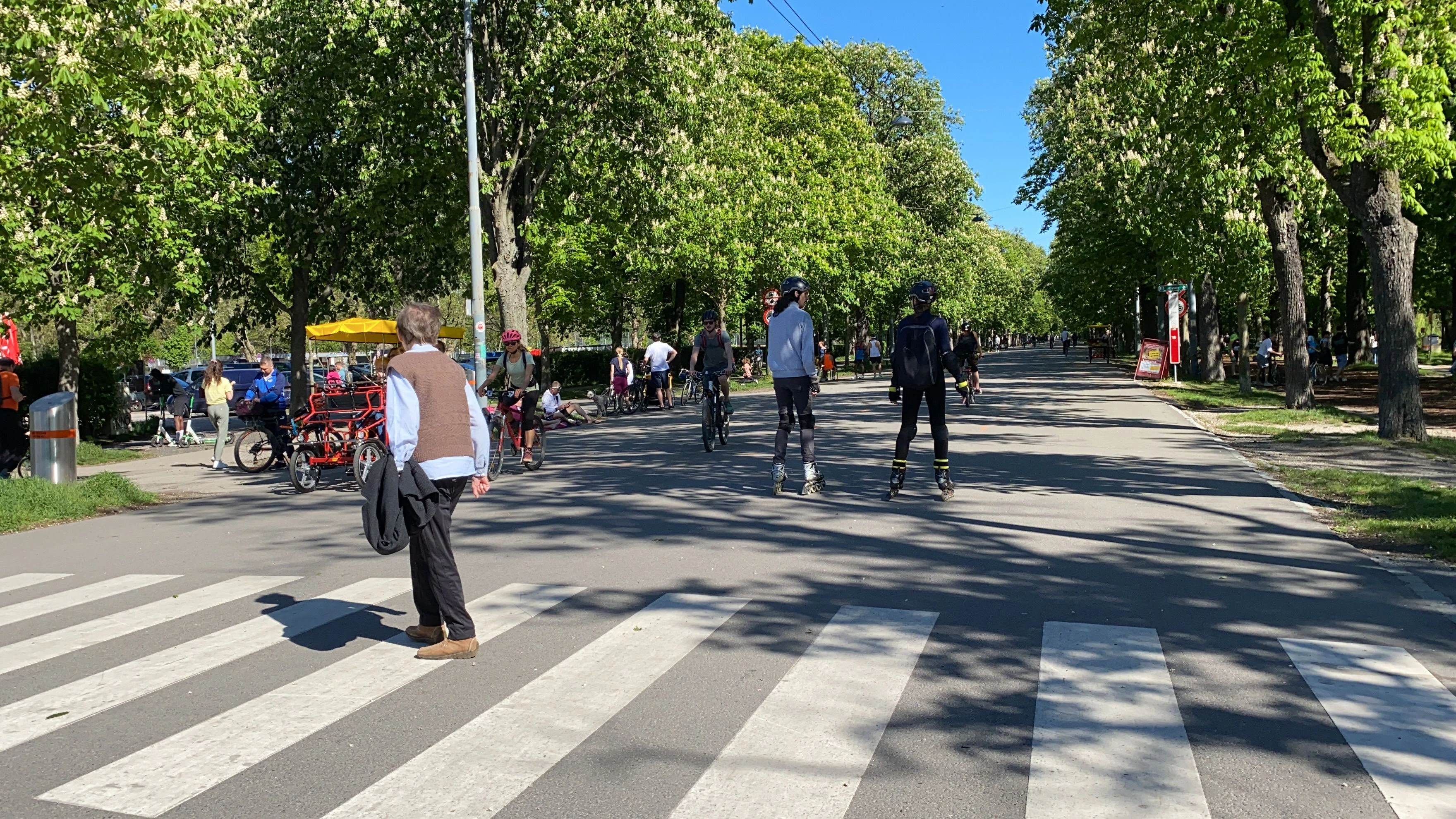 Bilder Wien Sommer Frühling