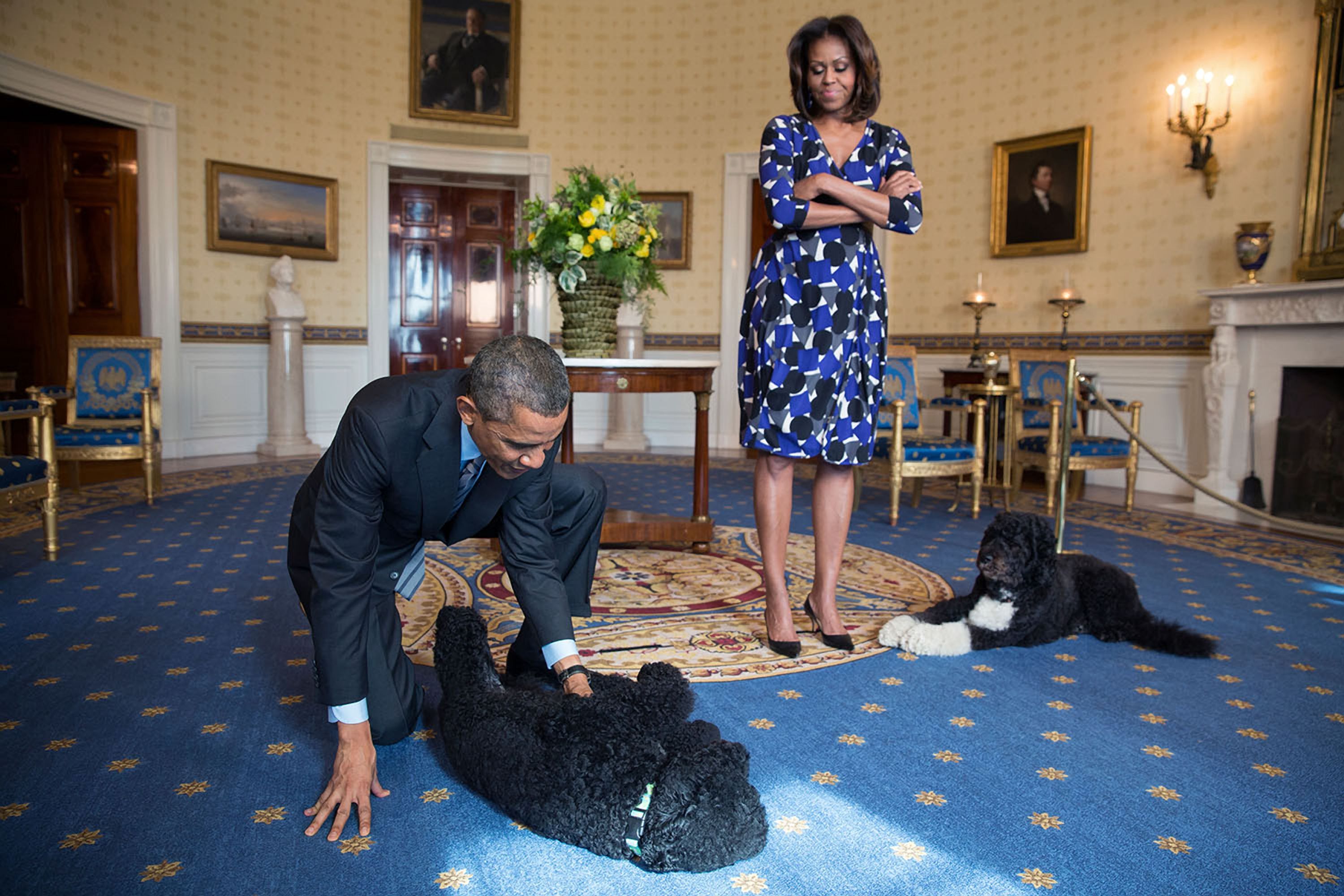 Barack und Michele Obama mit ihren Hunden "Sunny" und "Bo". Letztgenannter ist nun gestorben. 