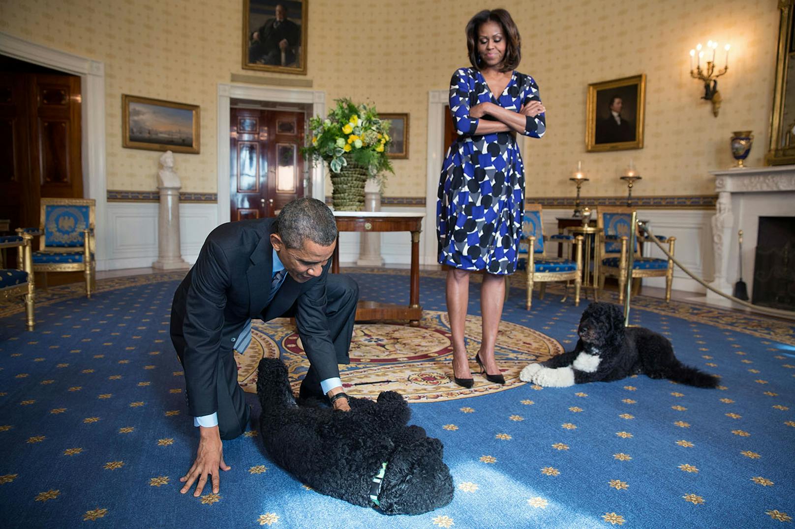 Barack und Michelle Obama mit ihren Hunden "Sunny" und "Bo". Letztgenannter ist nun gestorben. 