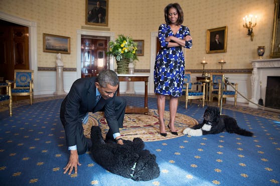 Barack und Michelle Obama mit ihren Hunden "Sunny" und "Bo". Letztgenannter ist nun gestorben.