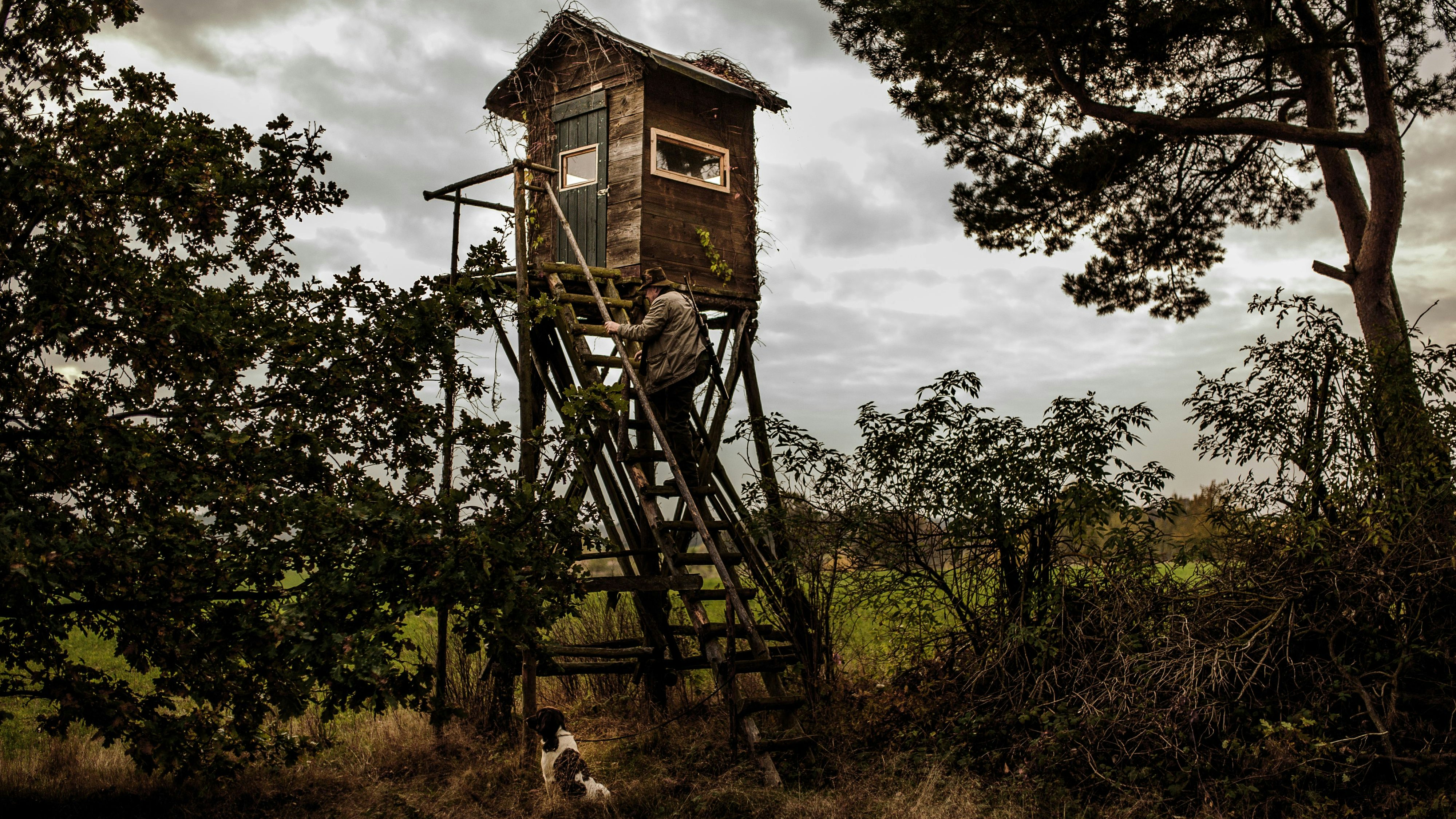 Hochsitz (Symbolbild)