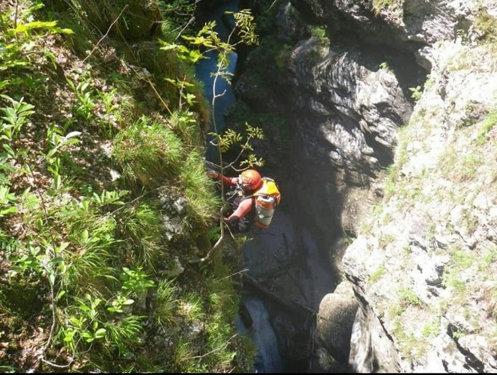 Eine zweijährige Border-Collie Hündin stürzte in die 40 Meter tiefe Tscheppaschlucht in Kärnten und konnte von der Bergrettung geborgen werden. ---&gt; <a href="https://www.heute.at/s/huendin-stuerzte-in-40-meter-tiefe-kaerntner-schlucht-100146471">ARTIKEL </a>