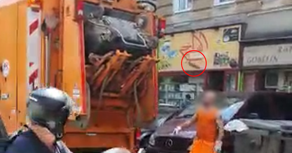 Diese Ratte wagte den waghalsigen Sprung aus dem Müllauto in die Freiheit.