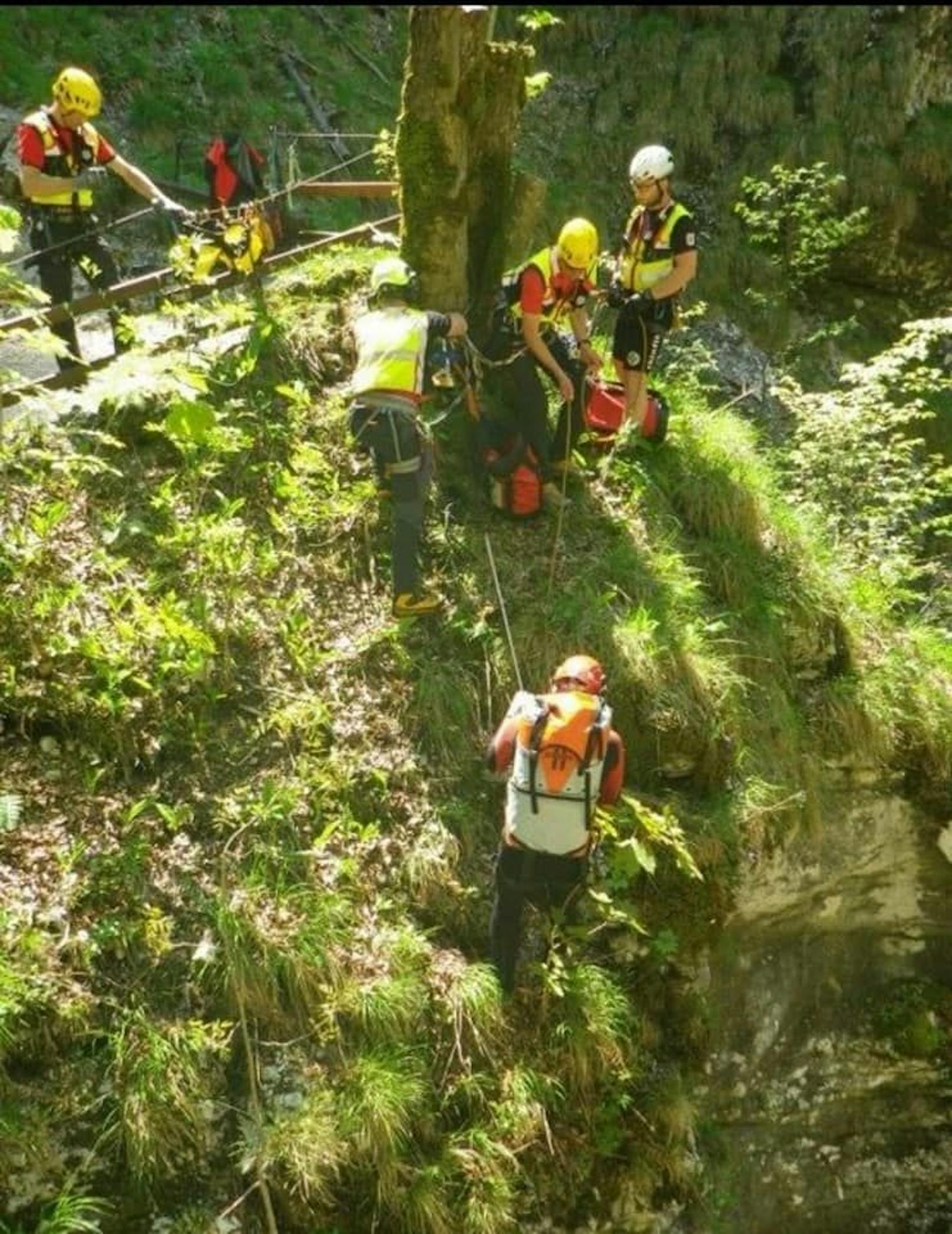 Am 03. Juni unternahm eine 19-jährige Hundebesitzerin einen Ausflug in die Tscheppaschlucht. 