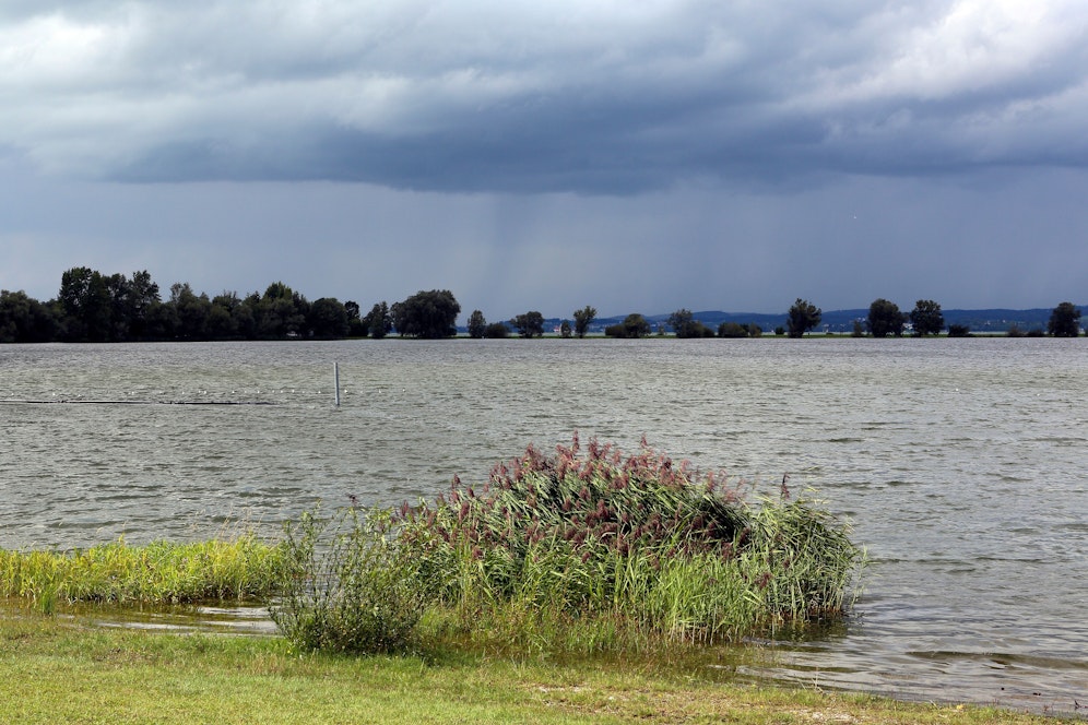 Blick auf den Bodensee bei Hard. Symbolbild