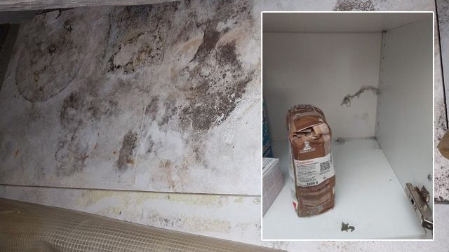 Schon nach einem Monat kam ein heftiger Schimmelbefall zum Vorschein.