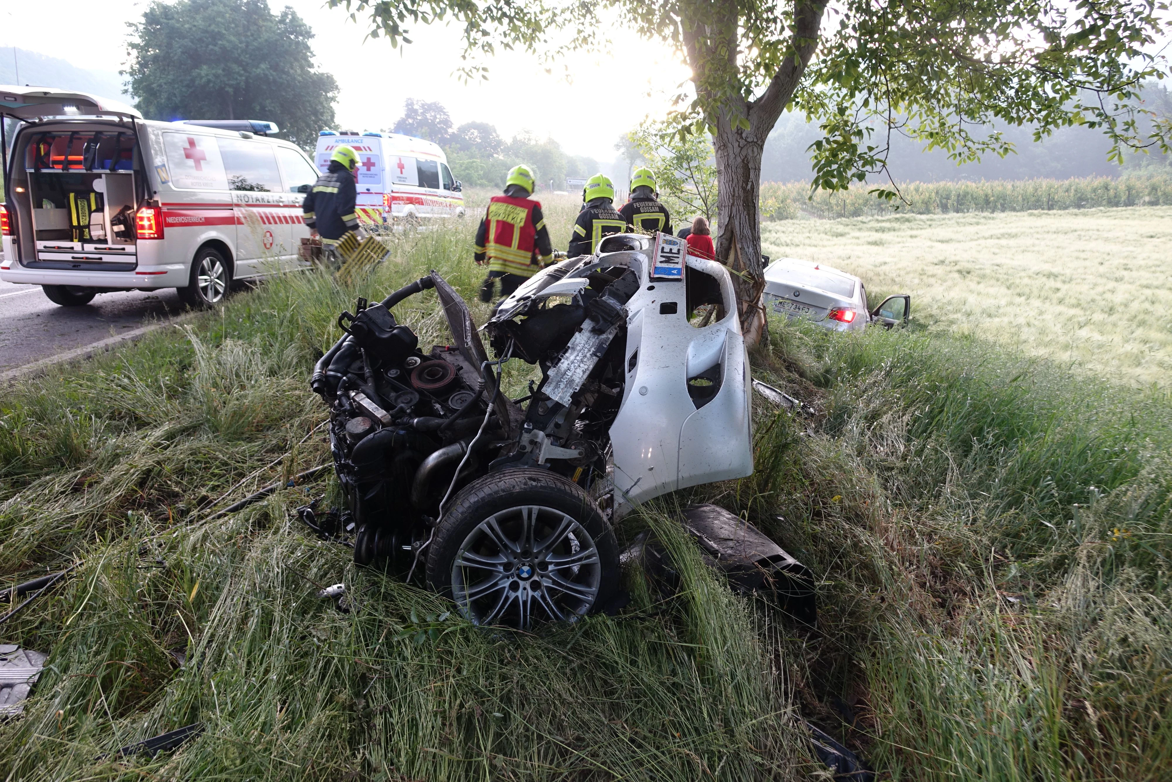 Das Auto prallte gegen einen Baum.
