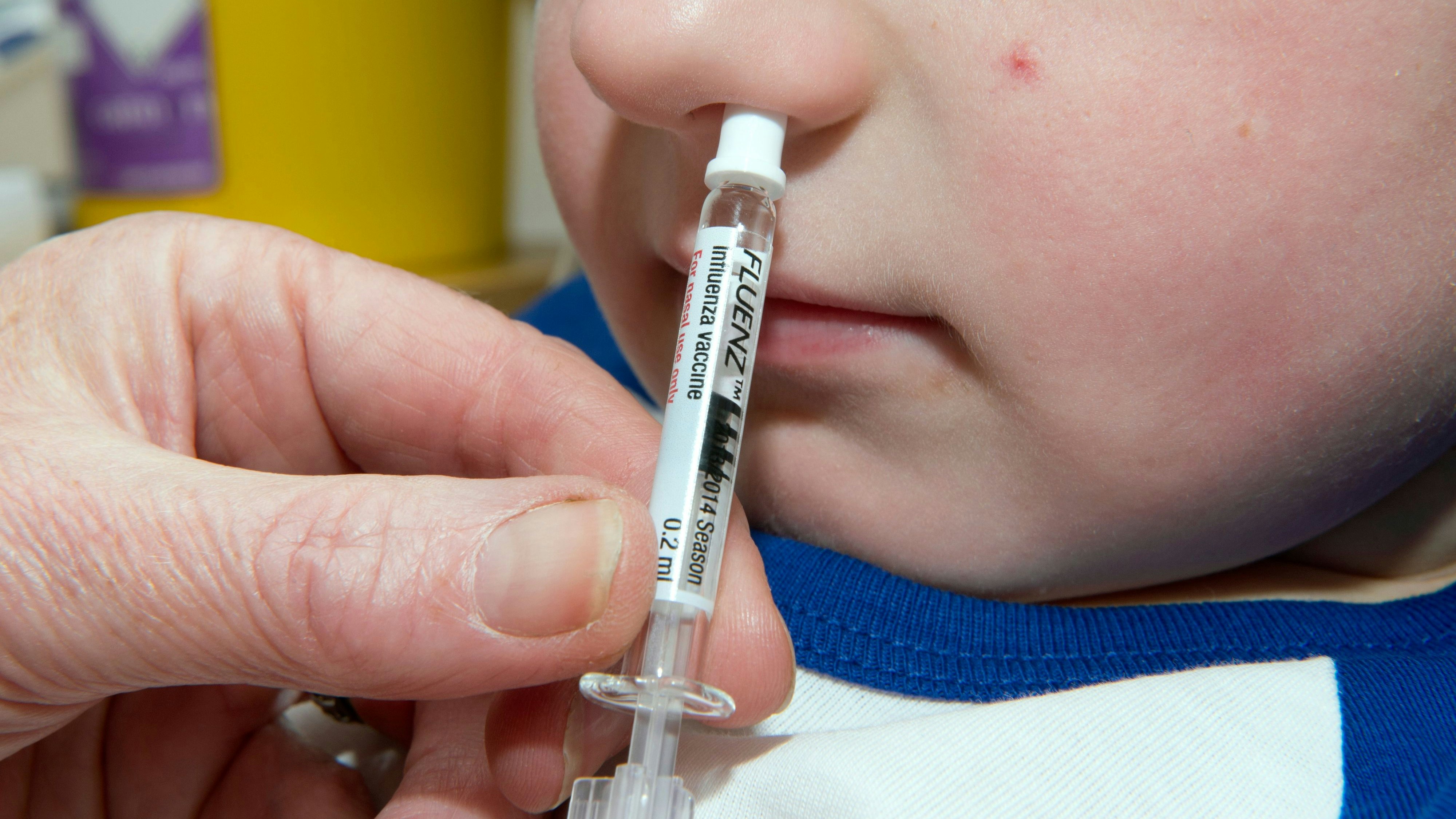 Download von www.picturedesk.com am 12.06.2021 (21:39).  MODEL RELEASED. Seasonal flu vaccine. Close-up of a toddler receiving the 2013/2014 seasonal influenza (flu) vaccine. Children over the age of two receive the vaccine as a nasal spray. This vaccine protects against two strains of influenza A, an H1N1 strain and an H3N2 strain, and one strain of influenza B viruses. - 20131023_PD0912 - Rechteinfo: Rights Managed (RM) Model Released