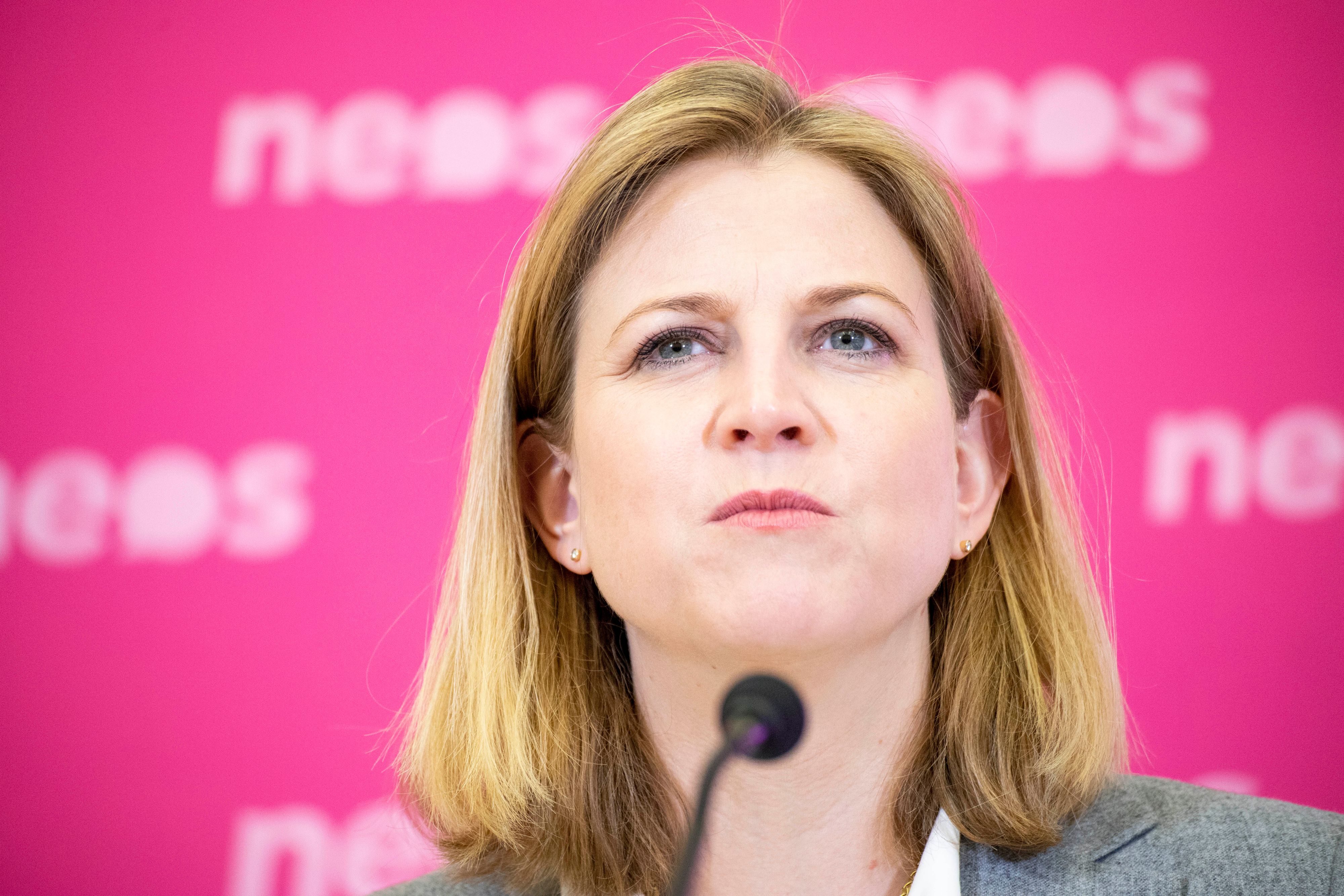 Beate Meinl-Reisinger