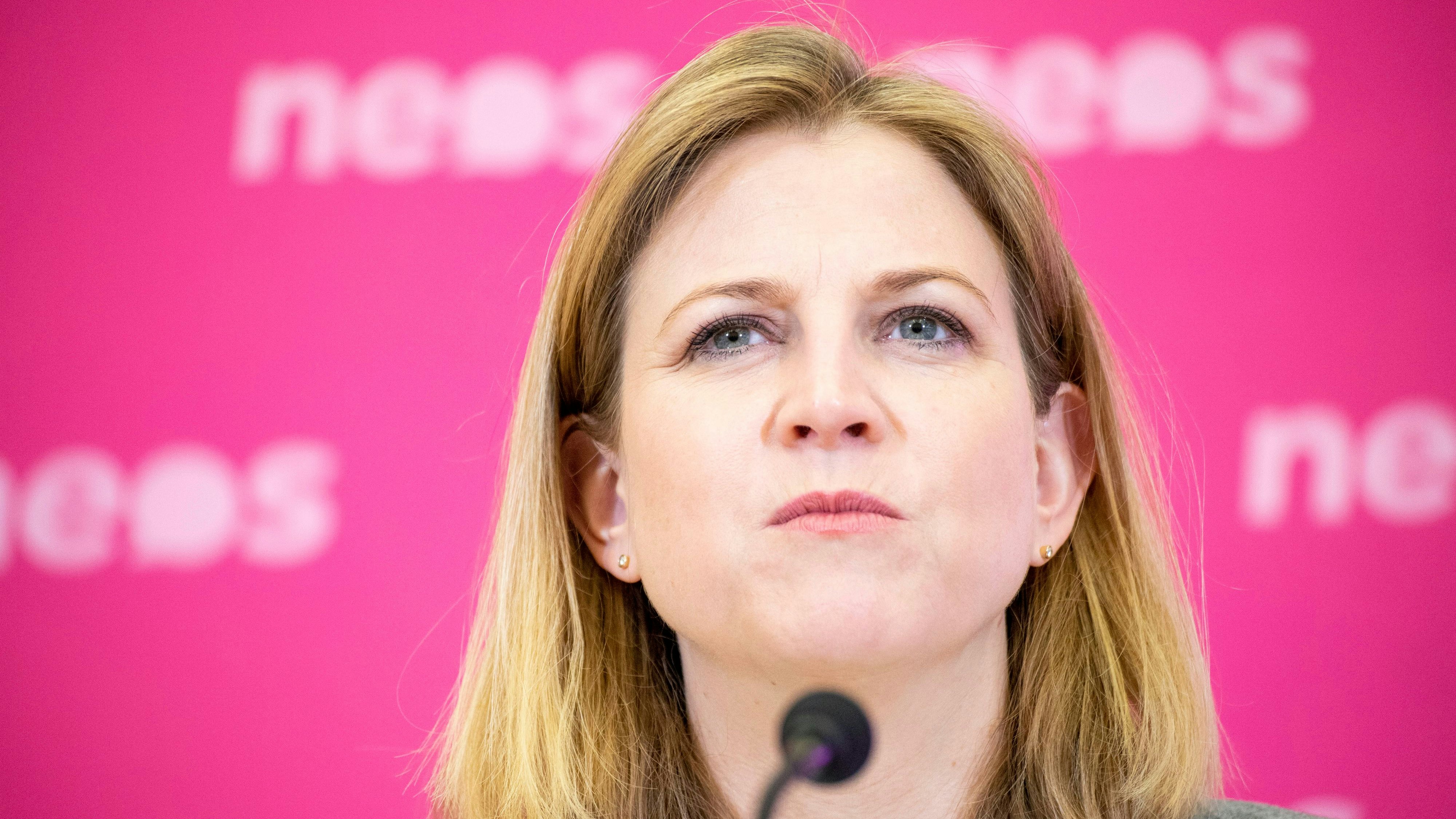 Beate Meinl-Reisinger