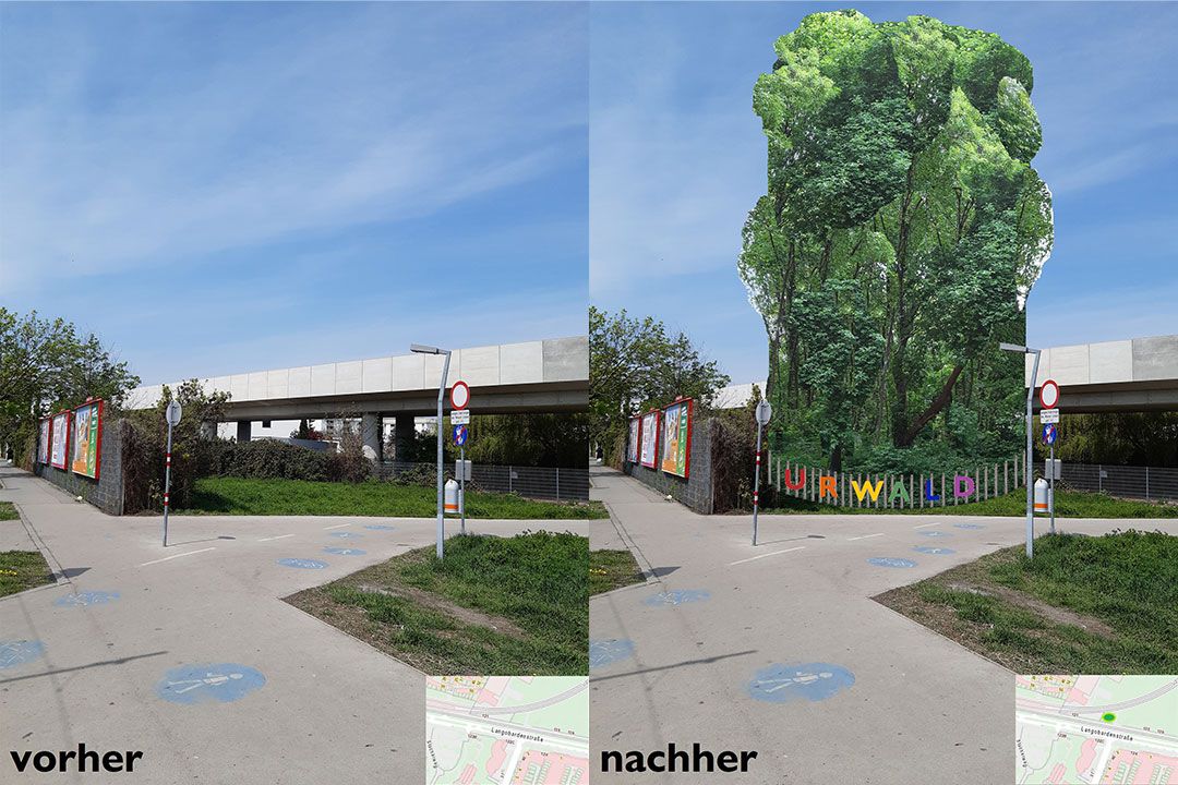 Auf einer 200 Quadratmeter großen Fläche in Aspern soll ein Mini-Urwald entstehen.