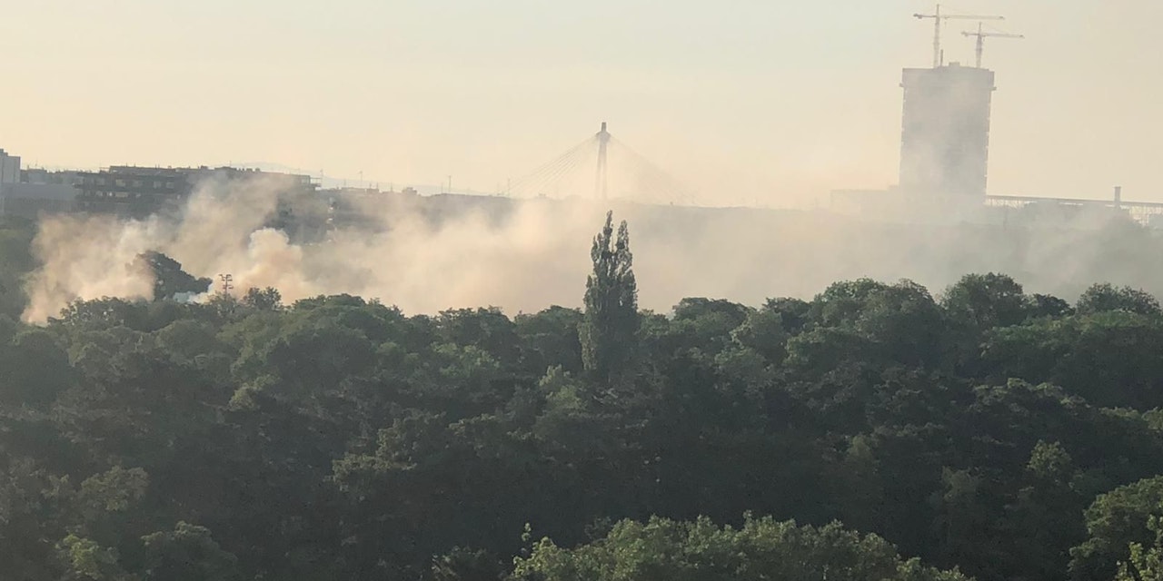 Large-scale fire brigade operation – Green Prater in Vienna is on fire – readers