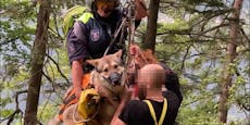 Verängstigter Hund verhinderte fast Rettung am Berg