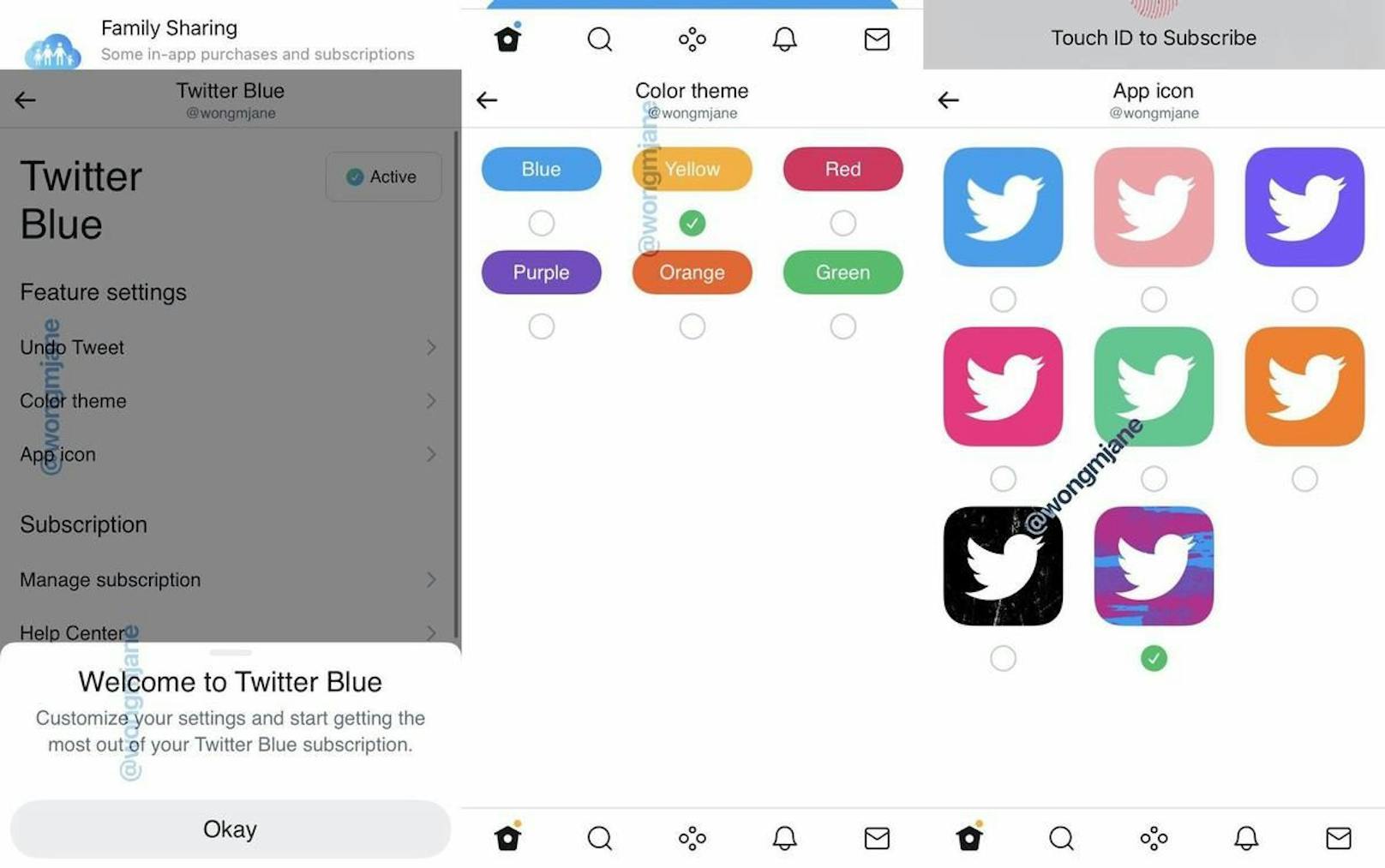 Mit Twitter Blue soll man unter anderem die Farbe des App-Icons ändern können.