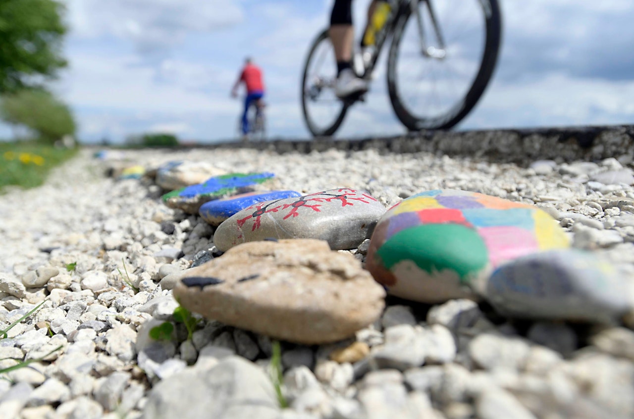 Heute.at - Schlangen-Schreck sorgt für E-Bike-Crash in Kärnten