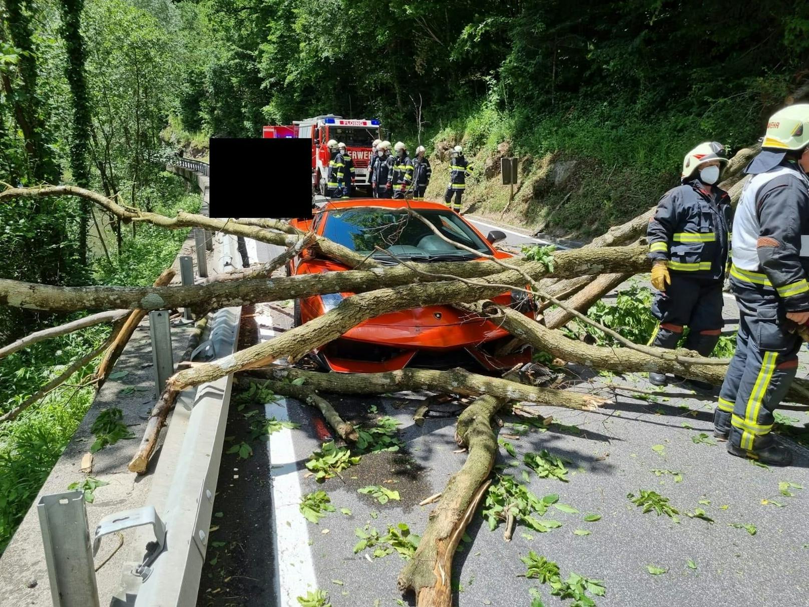 Ein Baum ist am Sonntag in der Stubenbergklamm auf einen Lamborghini gekracht. Der Fahrer hatte riesiges Glück!