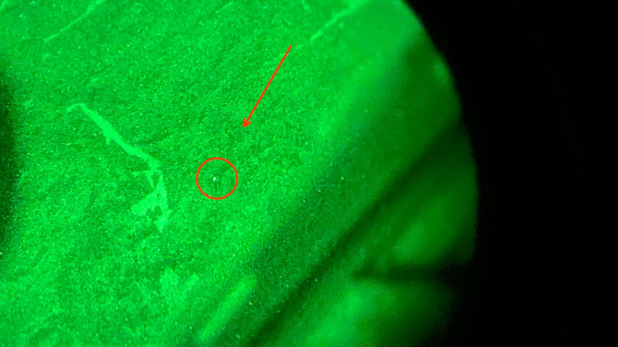 Hier wurde der Wanderer (49) ausgemacht.