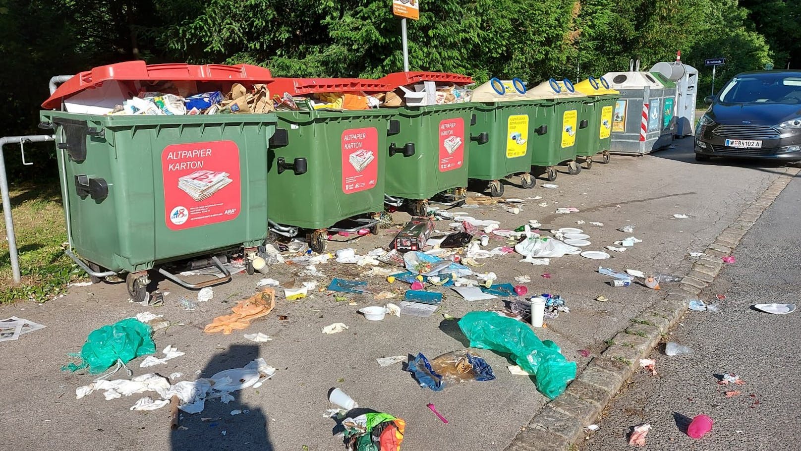 Müllberge bei den Steinhofgründen in Wien