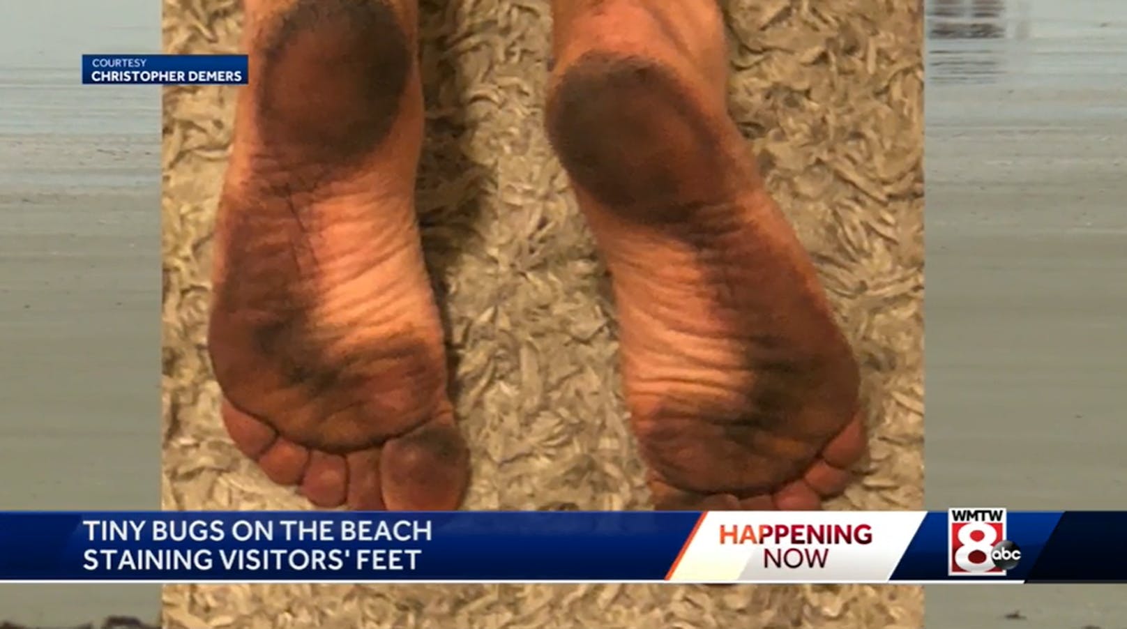Am Wells Beach im US-Staat Maine haben Strandbesucher seit Tagen schwarz gefärbte Füße.