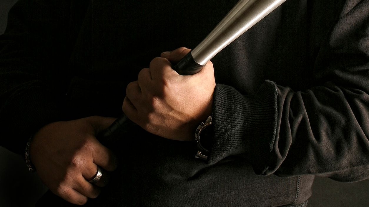 Der Mann ging mit einem Baseballschläger auf das Polizeiauto los.