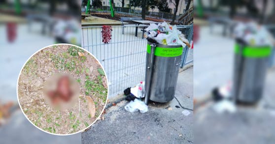 Kot, Müll, Essensreste – der Carsonypark im 11. Bezirk wird vollkommen zugemüllt.