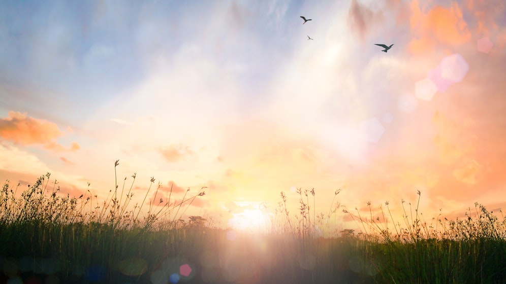 Mit der Sommersonnenwende beginnt aus astronomischer Sicht der Sommer.