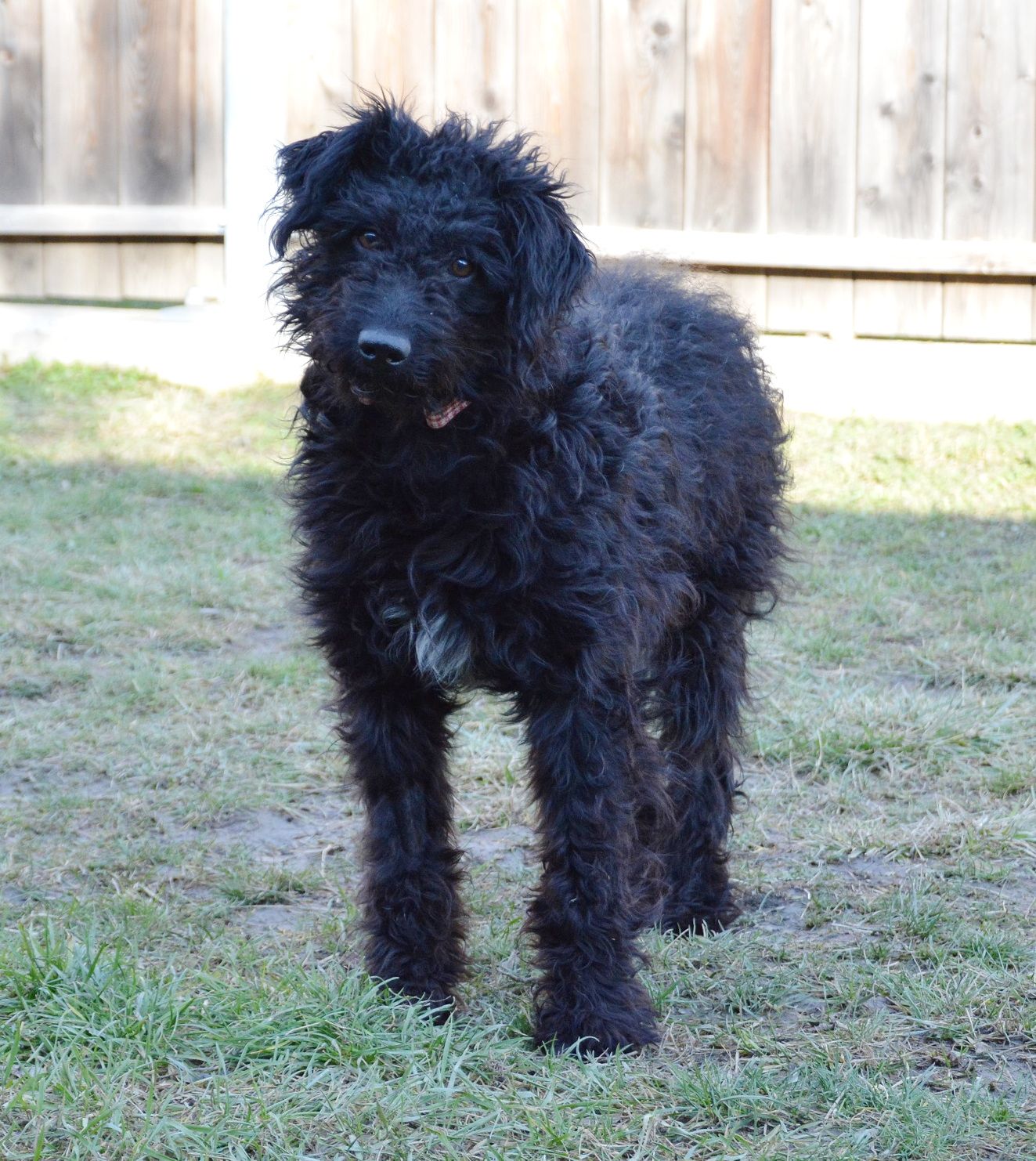 Die süße "Hiska" wird lebenslang Medikamente benötigen. 