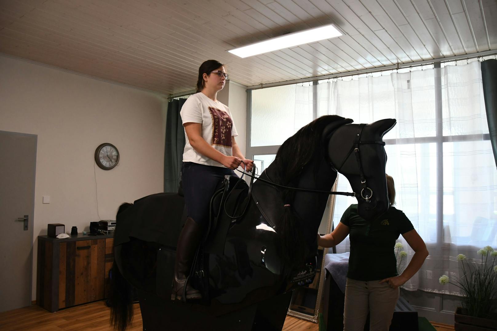 Der Simulator eignet sich für sehr viele Dinge: Training, ausbessern von Fehlern, Kennenlernen der Pferdebewegung, Reittherapie uvm. 