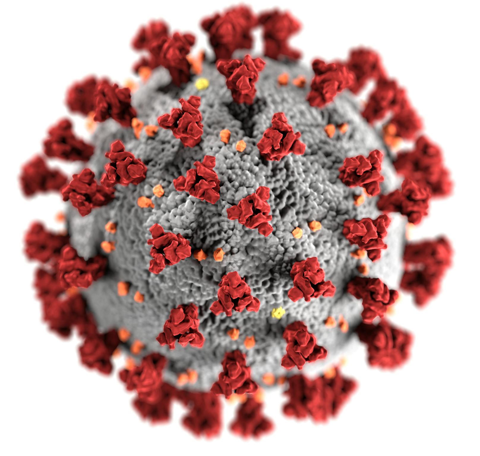 Wie alle Viren mutiert auch das Coronavirus Sars-CoV-2 ständig.
