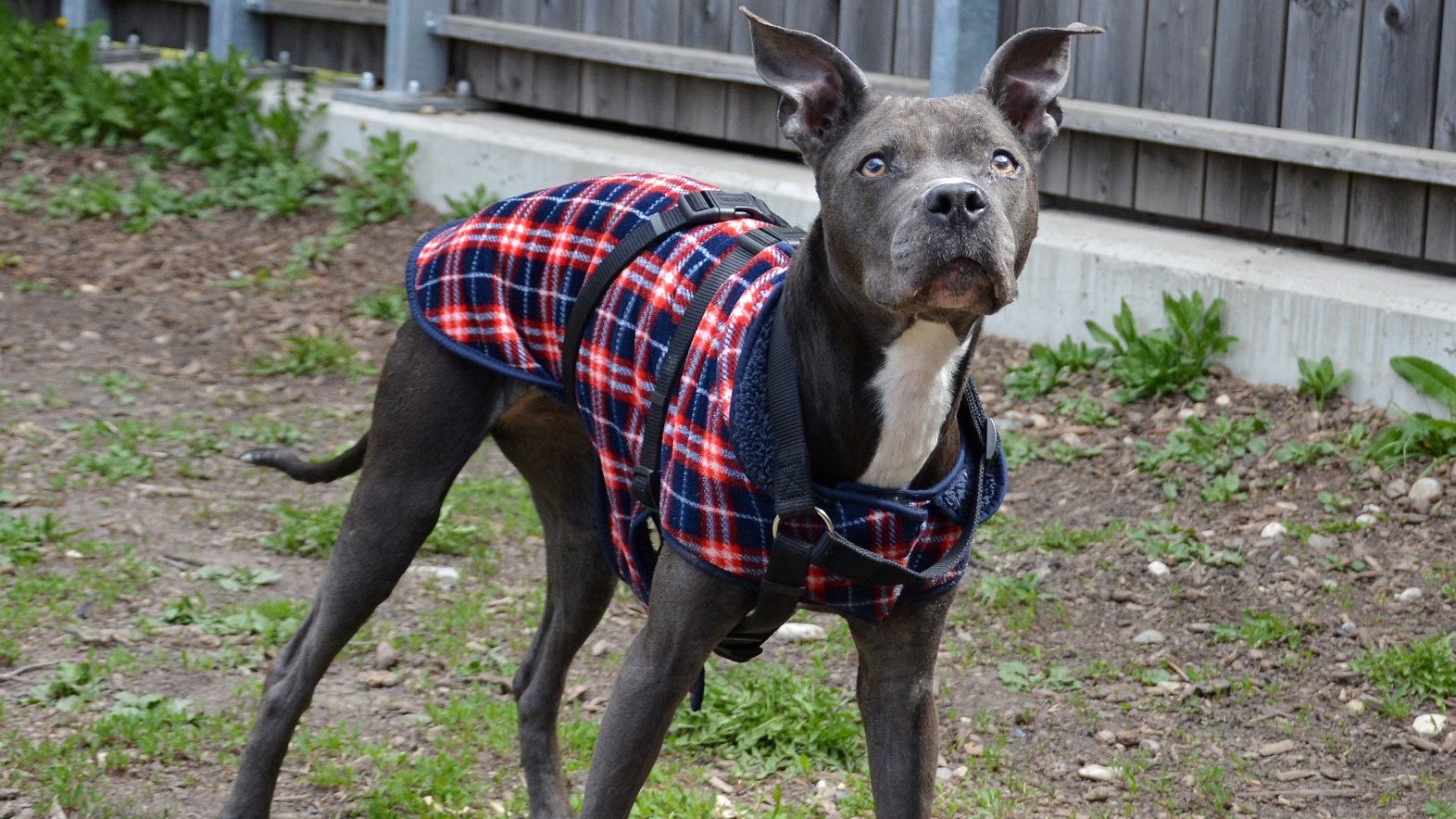 Die Hingabe der Tierpfleger im TierQuarTier Wien hat ein wahres Wunder vollbracht. 