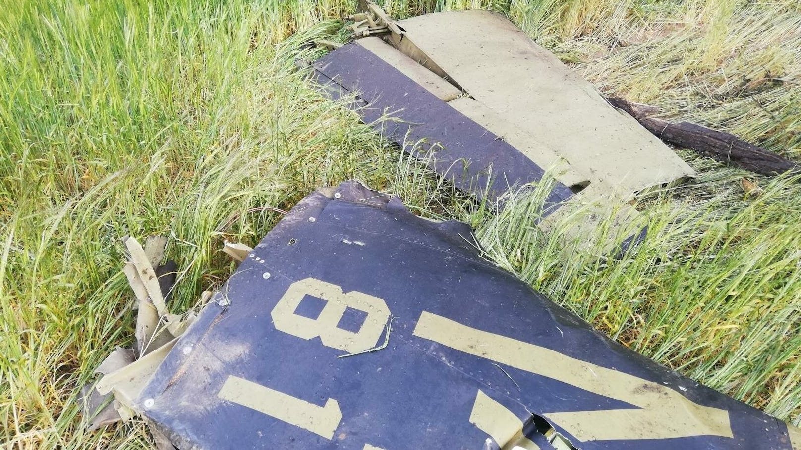 Die Maschine North American T-28B Trojan stürzte in ein Waldstück nahe Jickovice ab, rund 90 Kilometer von der österreichischen Grenze entfernt.
