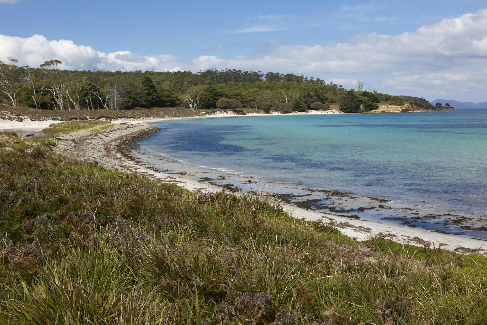 Beispielsweise auf Maria Island, einer unbewohnten Insel Tasmaniens, die heute ein Naturpark ist. 