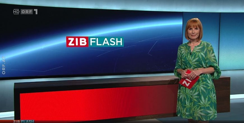 Christiane Wassertheurer im ZiB-Flash.