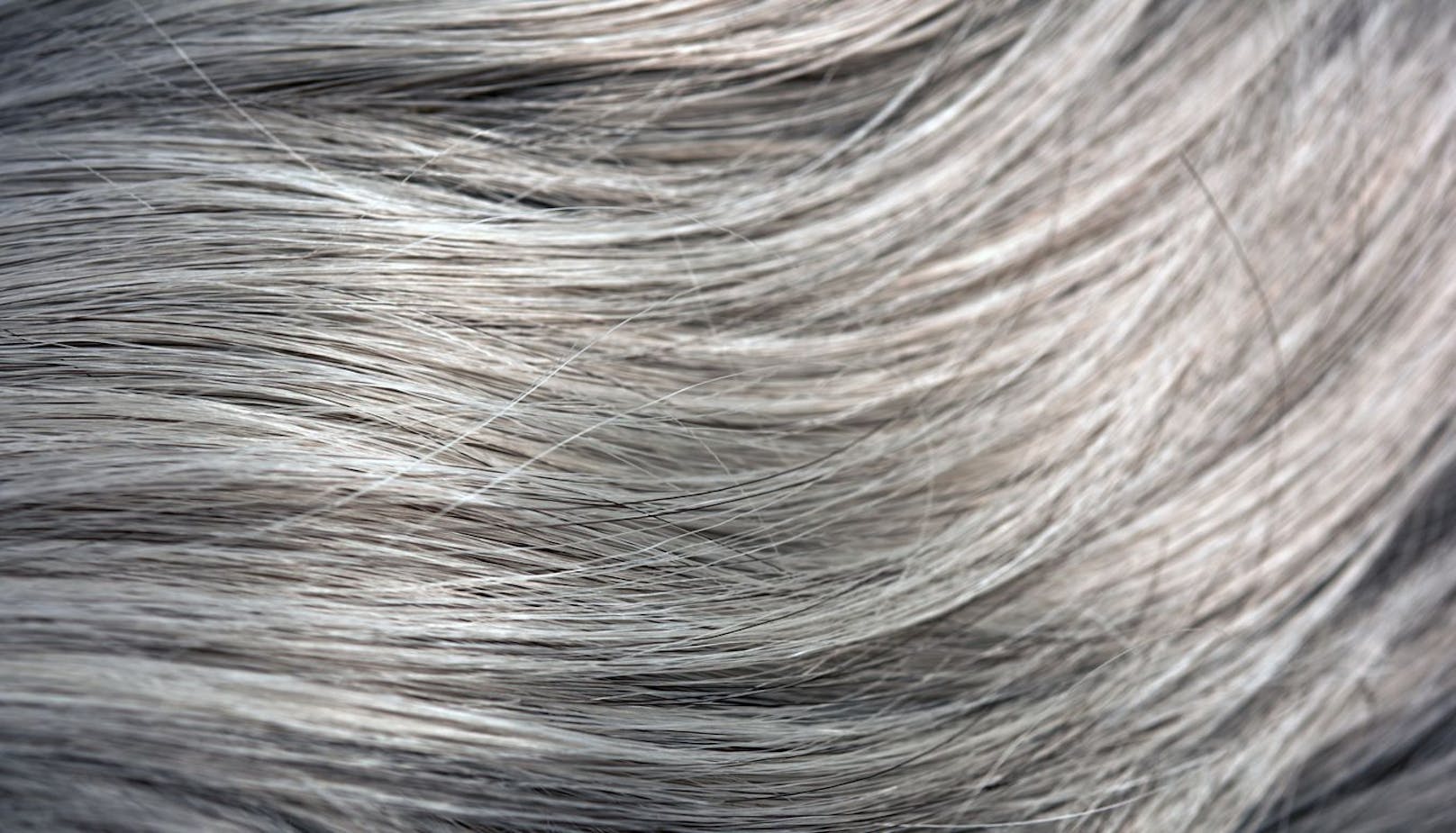 Graue Haare müssen kein Manko sein. Unterstützt durch eine passende Tönung, kann es auch interessant machen.