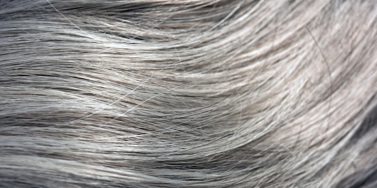 Gibt Es Menschen Die Keine Grauen Haare Bekommen