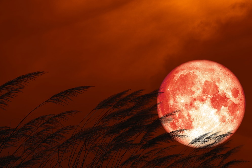 Der Erdbeer-Vollmond ist der letzte Supermond des Jahres.