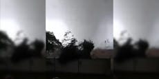 Video zeigt, wie der Tornado einen ganzen Wald mäht