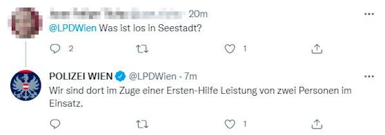 Auch die Wiener Polizei war im Einsatz.