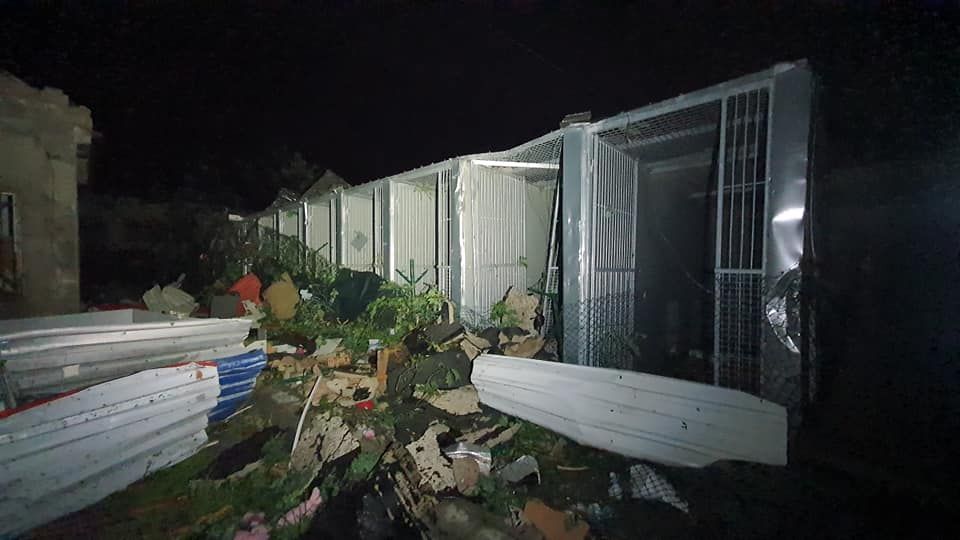 Das im Zoo befindliche Tierheim in Hodonin wurde komplett verwüstet. 