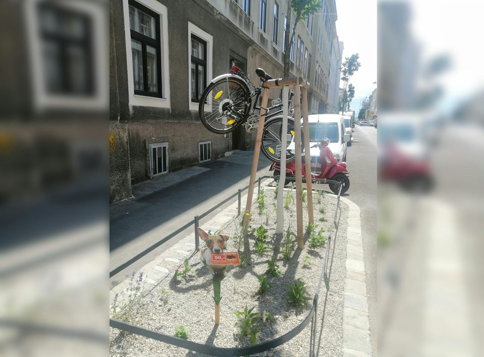 Ein Wiener hängte sein Rad auf einen Baum.