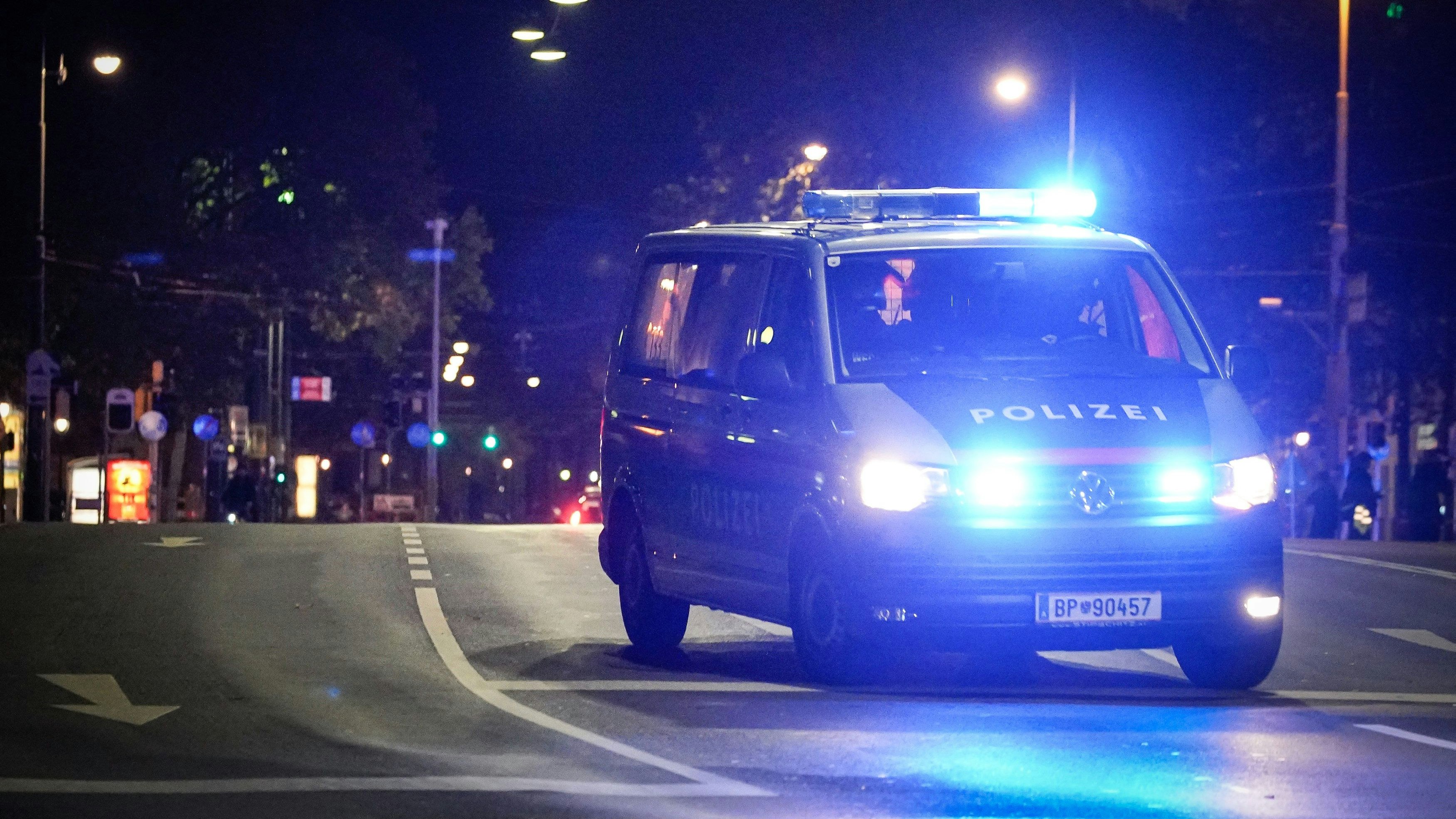 Die Polizei musste in der Nacht in die Wiener City ausrücken. Symbolbild.