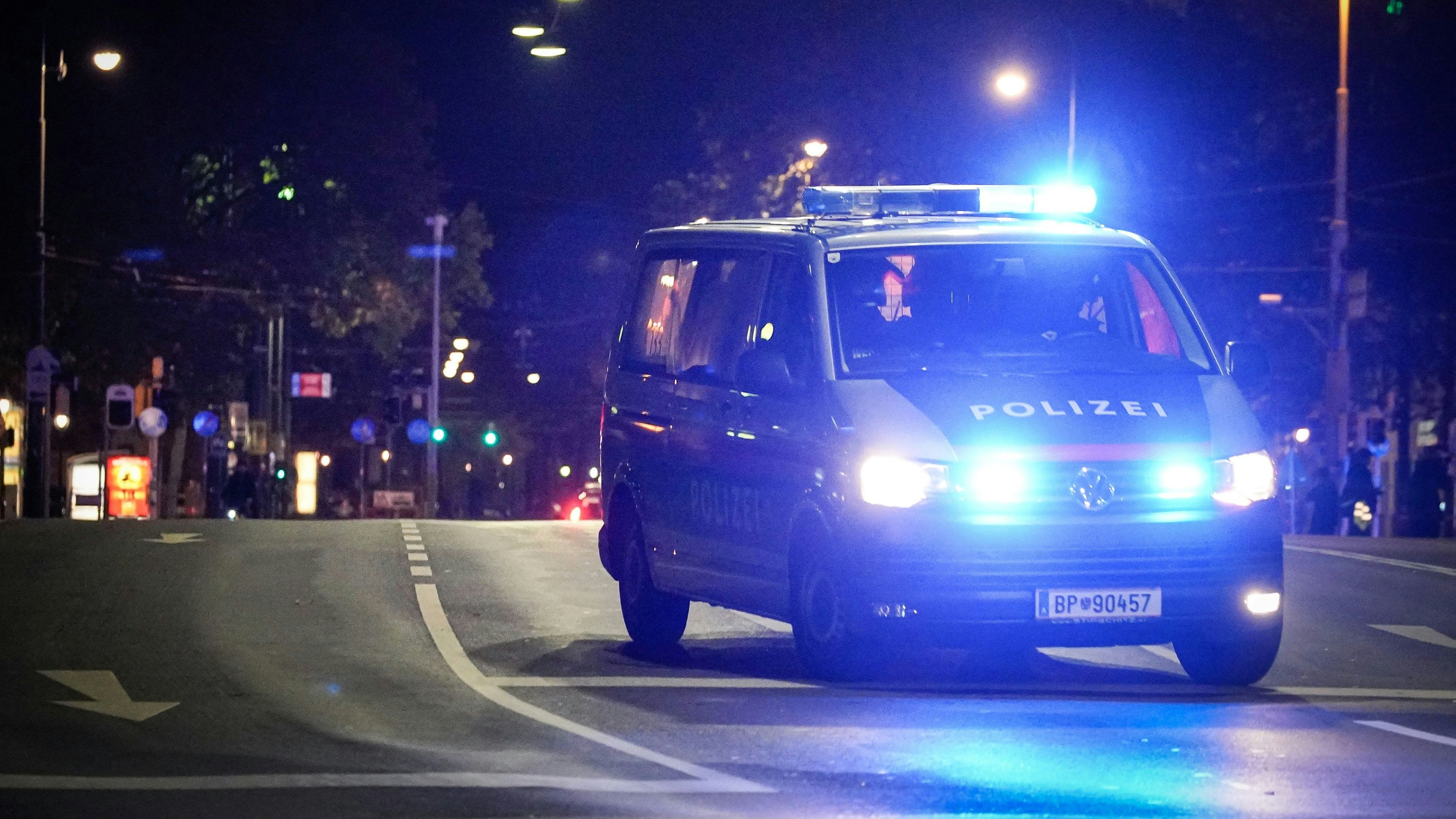Die Polizei musste in der Nacht in die Wiener City ausrücken. Symbolbild.