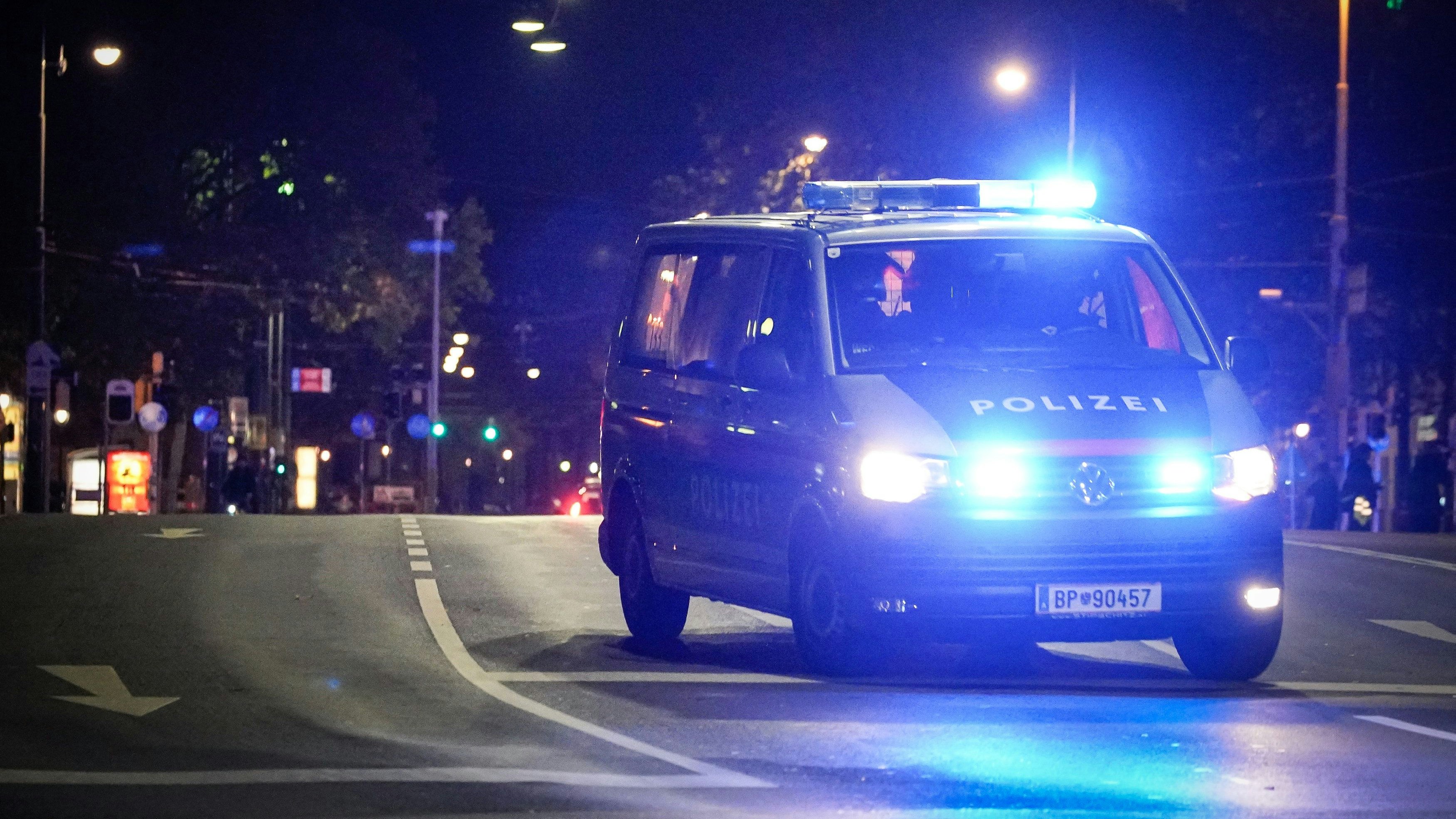 Die Polizei musste in der Nacht in die Wiener City ausrücken. Symbolbild.