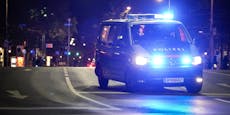 Mann prügelt in Wien erst Passanten, dann Polizisten nieder