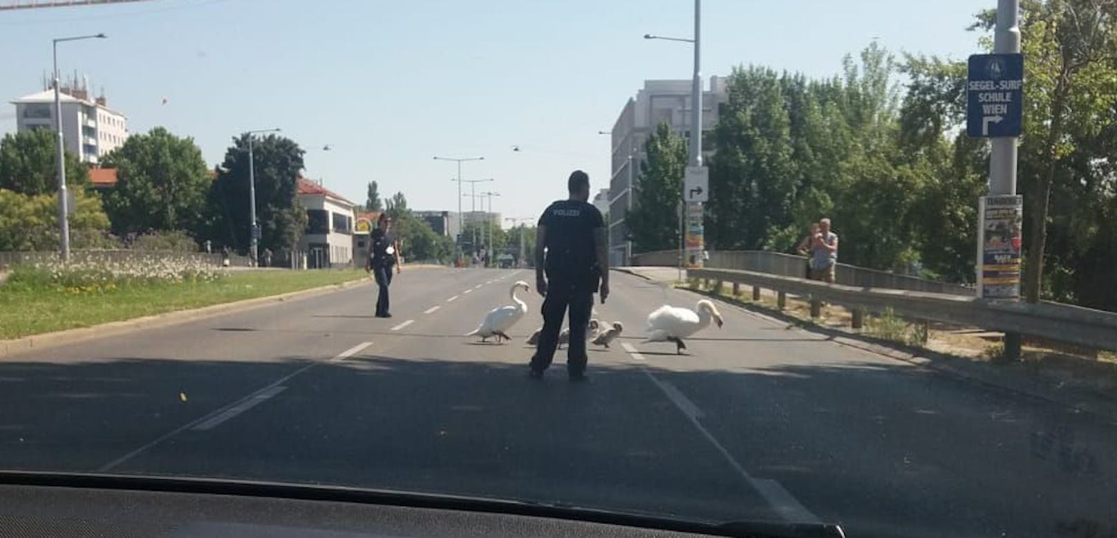 Die Polizei half den Vögeln in Wien.