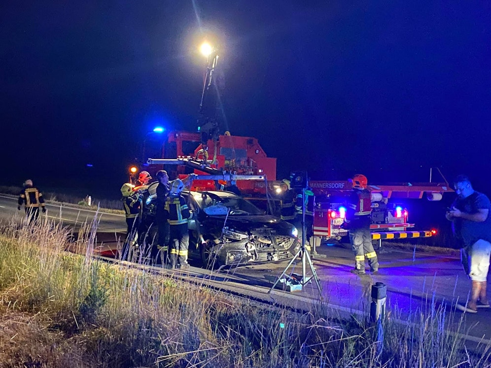 Der Lenker krachte gegen eine Wildsau.