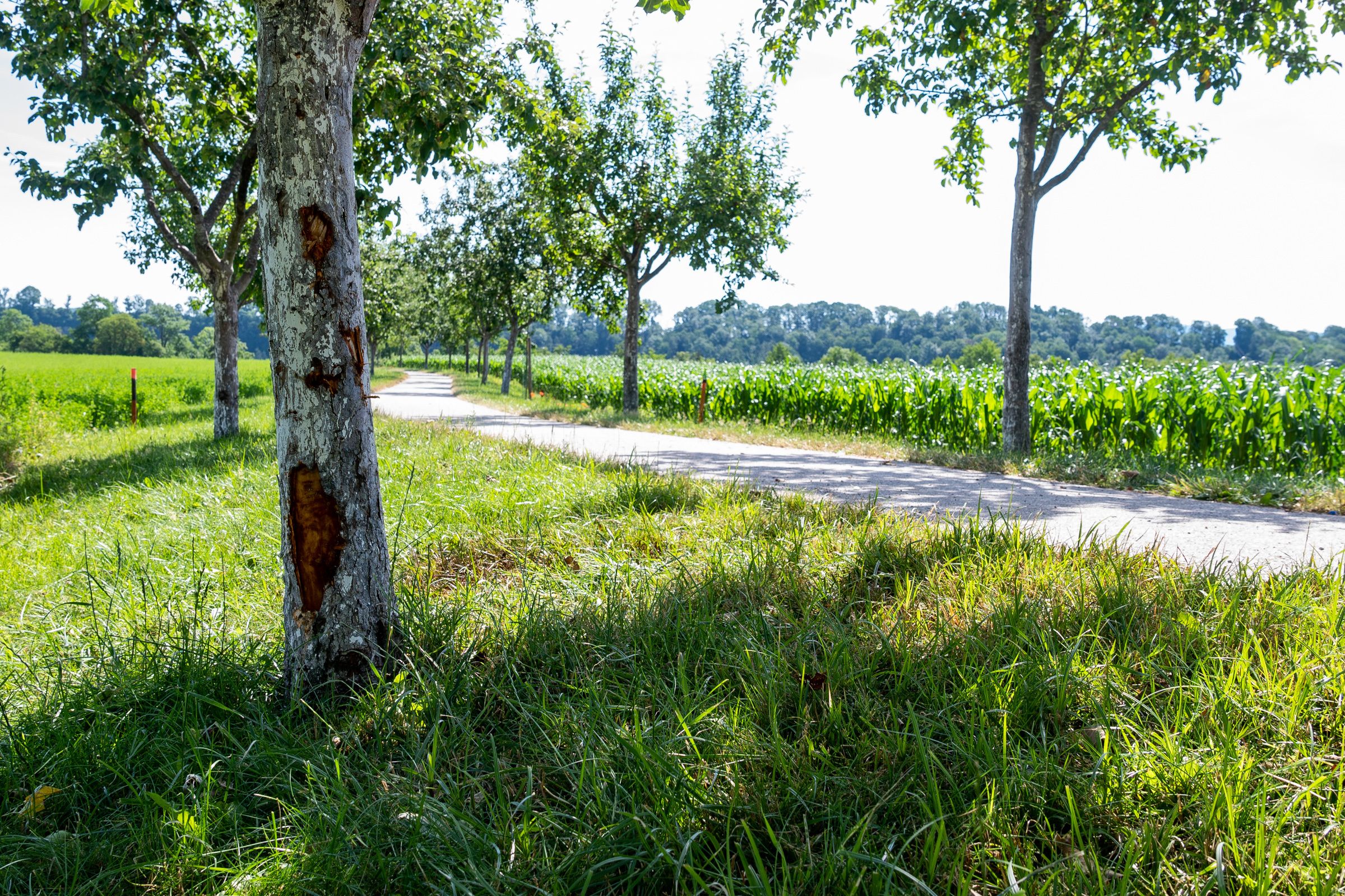 Hier ereignete sich das Drama.