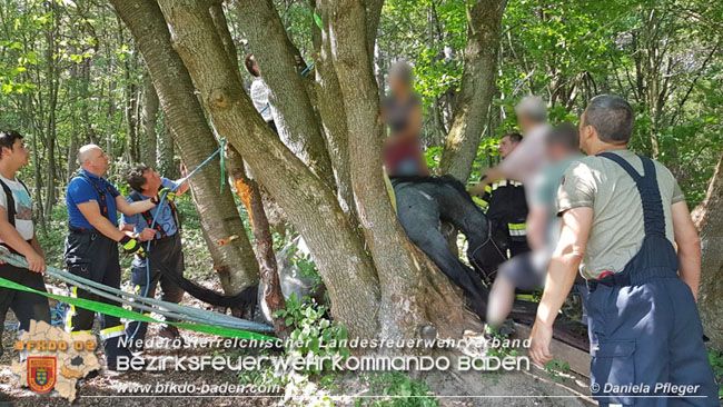 Mit vereinten Kräften wurde das Pferd befreit.