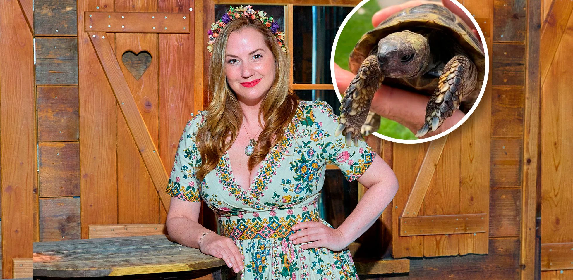 Kopfschmuck-Designerin Niki Osl fand die herrenlose Schildkröte.